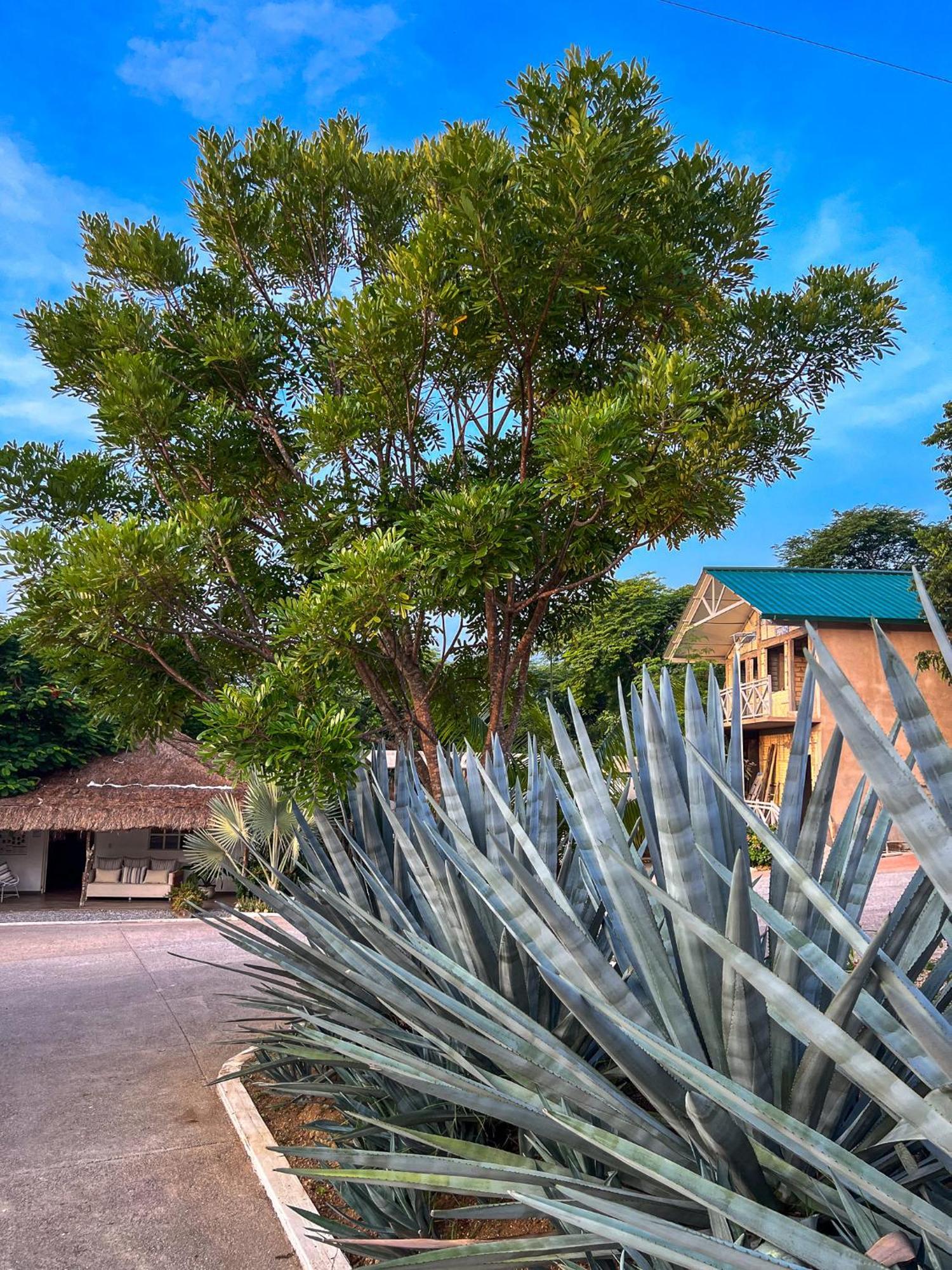 Villas El Encanto Jalpan de Serra Exterior photo